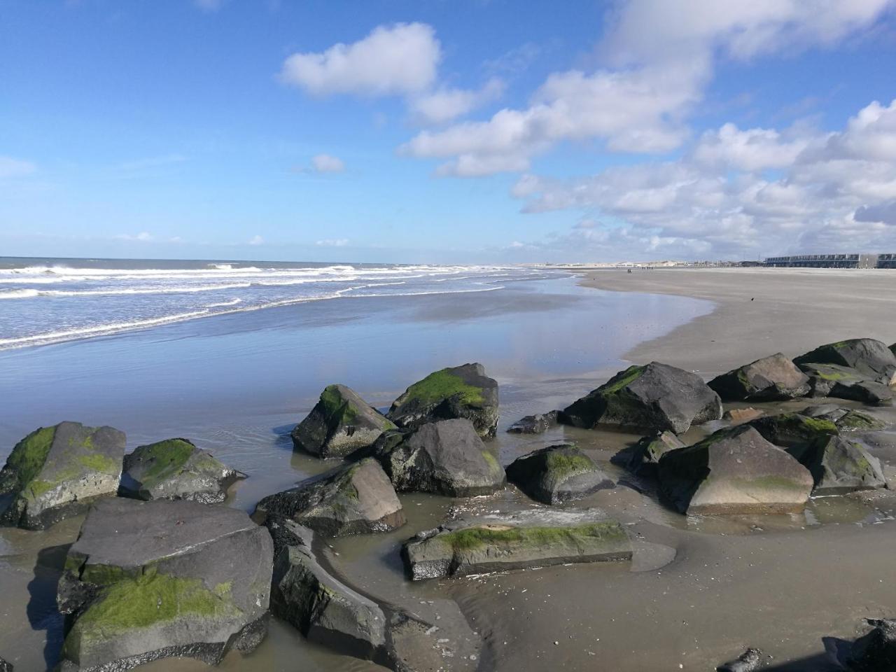 Hotel Noordzee Hoek van Holland Eksteriør billede